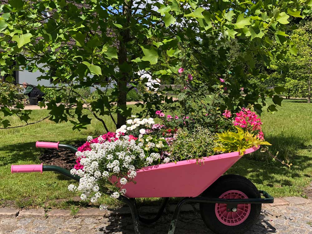 Botanischer Garten Wilhelmshaven