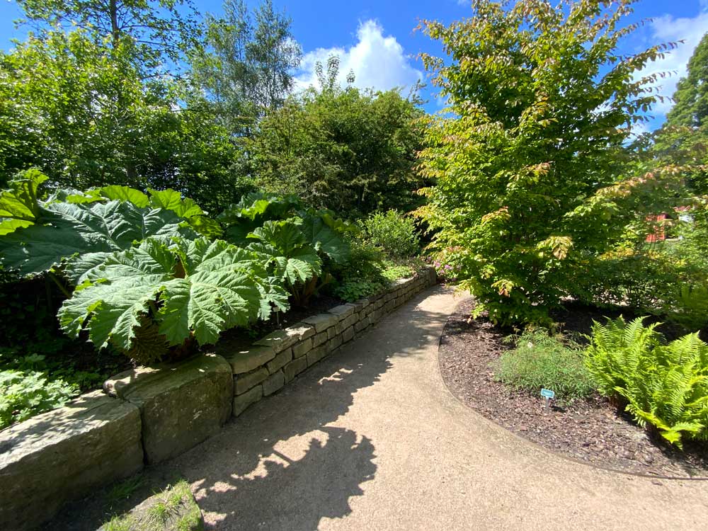 Botanischer Garten Wilhelmshaven