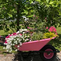 Botanischer Garten Wilhelmshaven