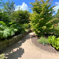 Botanischer Garten Wilhelmshaven