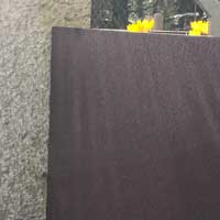 Botanischer Garten Wilhelmshaven