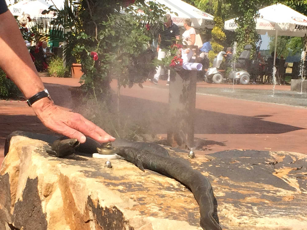 Kurpark Bad Zwischenahn