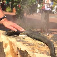 Kurpark Bad Zwischenahn